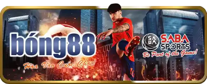 Hướng dẫn đăng ký VZ88